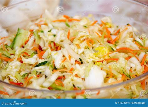 chinese cold dish stock photo image  cabbage carrot