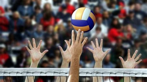 Volleyball Positions Explained: Understanding Player Roles