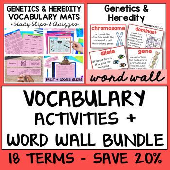 Genetics And Heredity Vocabulary Definition Activities W Word Wall