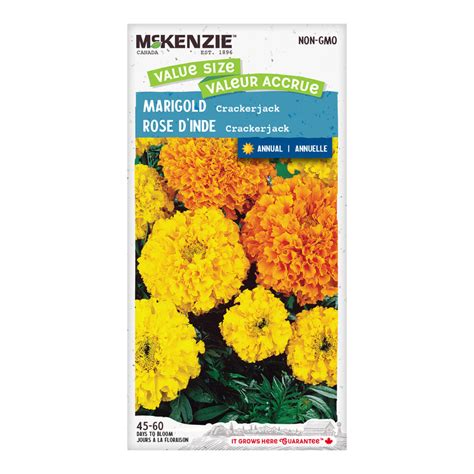 Marigold Seeds, Crackerjack Jumbo Pack – McKenzie Seeds