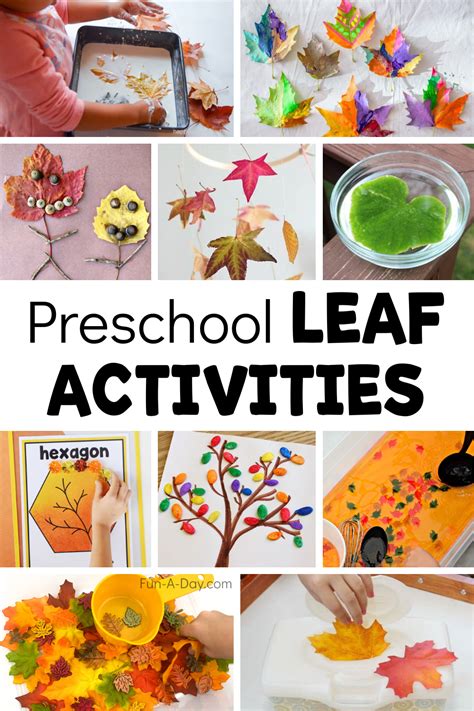 20 Leaf Activities For Preschoolers Fun A Day