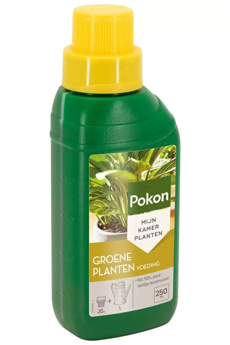 Pokon Groene Planten Voeding 250ml Tuincentrum Eurofleur