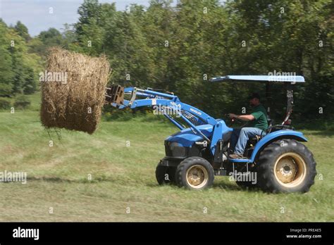 Small Tractor Loading Hay Bales Stock Photo Alamy