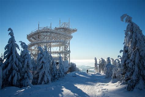 Tips On How To Ring In The New Year 2022 VisitCzechia