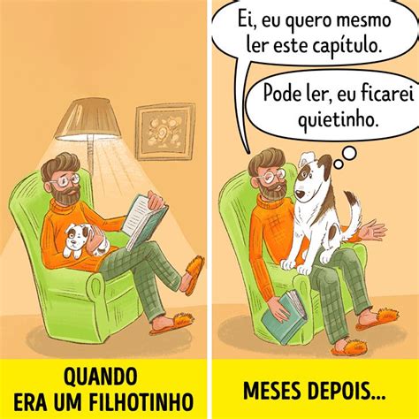 Comics Sobre Como C Es E Gatos Enxergam A Vida Vs Como Os Humanos A