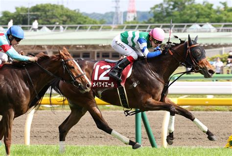 【ヴィクトリアm】メイケイエールは東京歓迎、吉田助手「広いコースの方が当然いいです」 競馬写真ニュース 日刊スポーツ