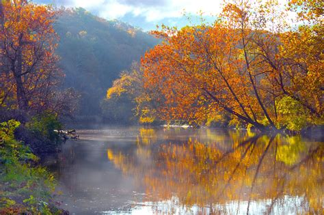 Wallpaper Sunlight Trees Landscape Nature Reflection Branch