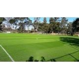 Galeria De Imagens Gramas Para Campo De Futebol