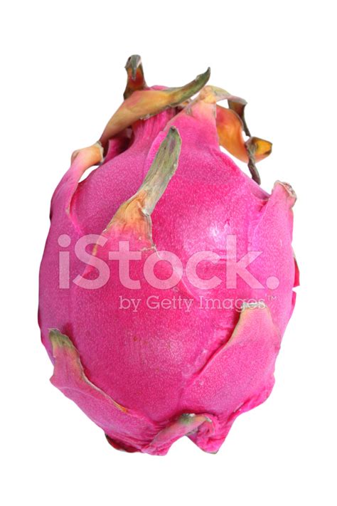 Pitaya Stock Photo | Royalty-Free | FreeImages