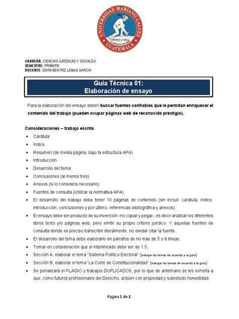 Guía Técnica Para La Elaboración Del Ensayo 1 Pdf Ensayos