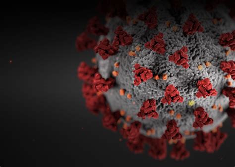 Dhhr Wv Path - Surveys Hyatt