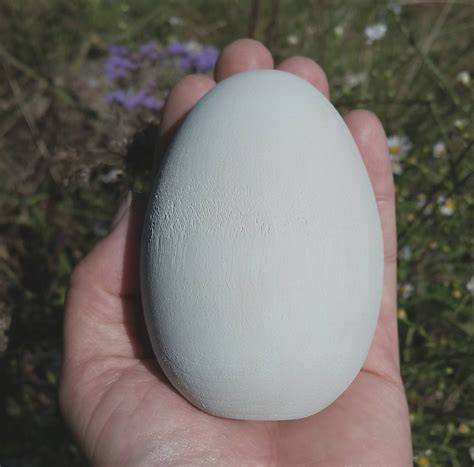 Bald Eagle Egg for Science Education Extra Large Wooden Eagle - Etsy