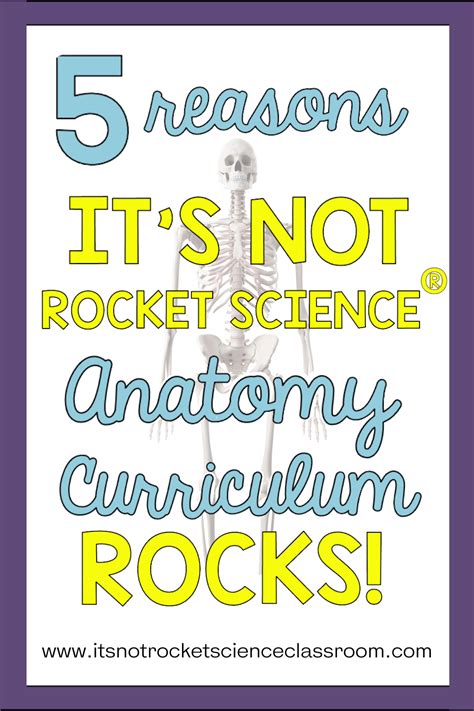 5 Reasons It S Not Rocket Science Anatomy Curriculum ROCKS It S Not