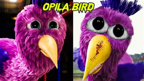 The Evolution Of Opila Bird In Real Life From Garten Of Ban Ban Cursed