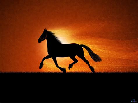 Horse Sunset Wallpapers - Top Free Horse Sunset Backgrounds - WallpaperAccess