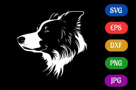 Border Collie Silhouette Vector Svg Graphic By Creative Oasis