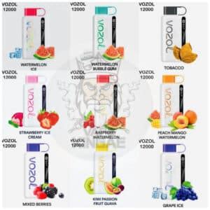 VOZOL STAR 12000 PUFFS BEST DISPOSABLE VAPE In Dubai, U.A.E - VAPEKING AE