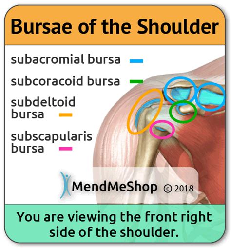 All About Bursitis