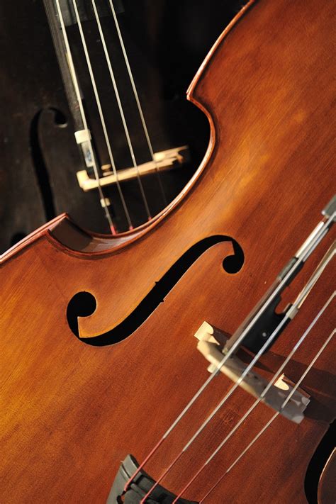 Violín Bajo Música Instrumento Foto gratis en Pixabay Pixabay