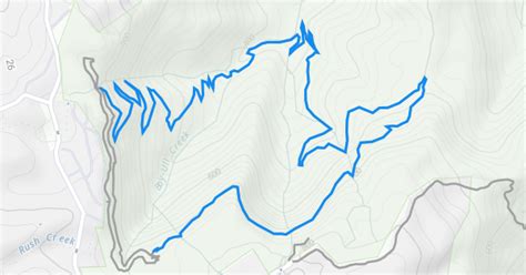 Warrie Circuit Hiking Trail Springbrook Trailforks