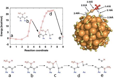 Scheme Of Ligand Exchange Process With Methane Thiol And Au 102 SR 44