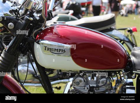 Petrol Tank Of A Triumph Motorcycle Stock Photo Alamy