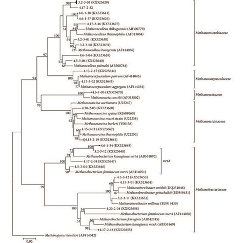 Phylogenetic Tree Indicating The Relationship Of Selected McrA And MrtA