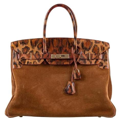 Hermes Birkin 35 Hermes Bags Suede Paint Investment Bags Vision