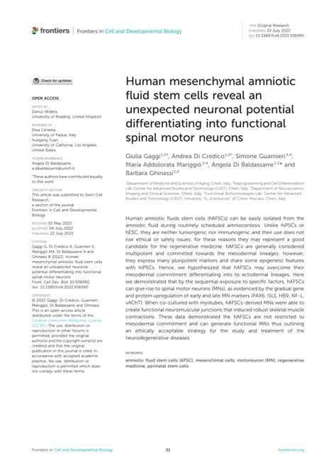 Pdf Human Mesenchymal Amniotic Fluid Stem Cells Reveal An Unexpected