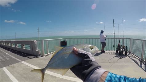 Fishing The Florida Keys Long Key Bridge Youtube