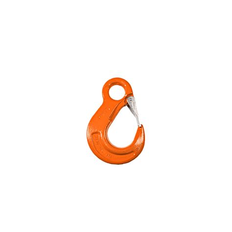 Eye Sling Hook With Latch Grade Hes