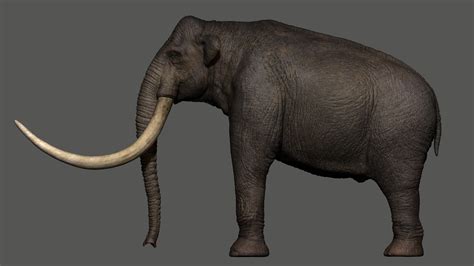 fernando usabiaga bustos steppe mammoth