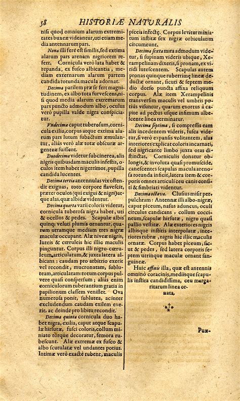 Jonston Jan Historiae Naturalis De Insectis Libri Iii De Serpentibus