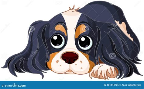 Spaniel Dog Stock Vector Illustration Of Cartoon Spaniel 101144705