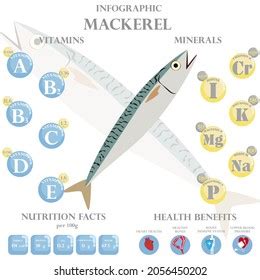 Mackerel Nutrition Facts Health Benefits Infographic Stock Vector (Royalty Free) 2056450202 ...