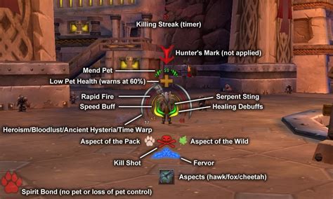 Hunter Power Auras Guide And Video Demo