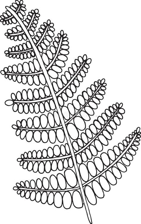 Vector El Dibujo Del Helecho Fósil De La Planta Del Bosque Del Esquema