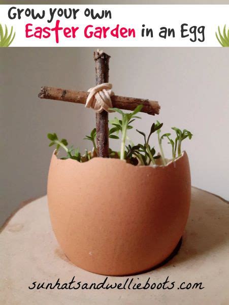 Grow Your Own Easter Garden In An Egg Easter Garden Garden Crafts