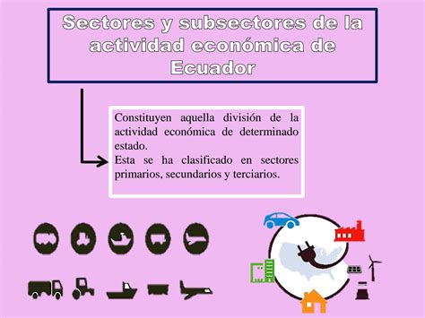 Solution Sectores Y Subsectores De La Actividad Econ Mica De Ecuador