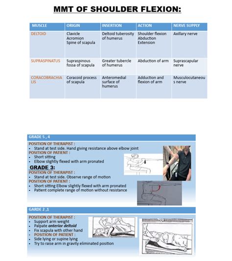 Shoulder Flexion MMT | PDF