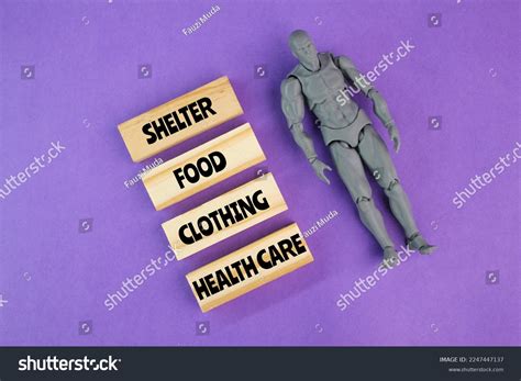 Basic Needs Such Food Shelter Health Images Stock Photos Vectors