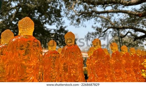 Buddha Gaya India Sadhu Stock Photo 2268687829 | Shutterstock