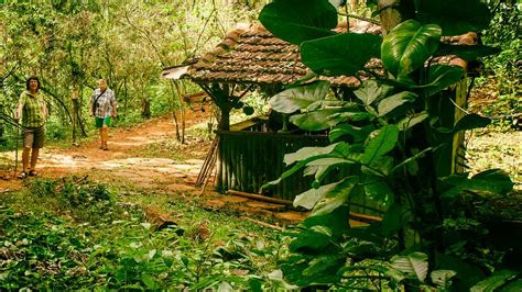 Topes De Collantes Una Belleza Natural Para Descubrir En Cuba Blog