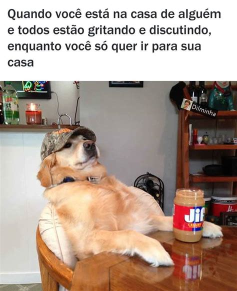 Voc Muito Pregui Oso Eu Memes