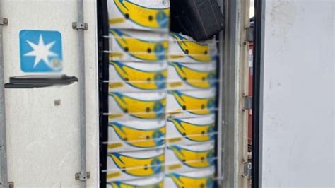 AVLive Salerno Cocaina Nei Container Di Banane Sequestrati 219