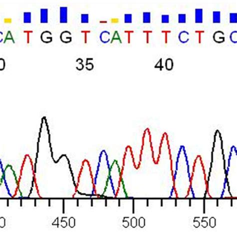 The Plan Of Overlapping Pcr A The Two Step Overlapping Pcr Procedure