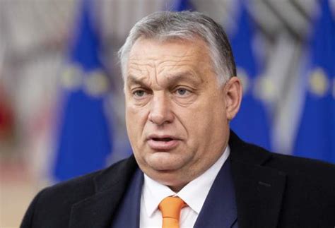 EU sanctions have ‘backfired’ – Orban | Taghribnews (TNA)