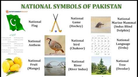 Here Are Few National Symbols Of Pakistan - Entertainment Bracket