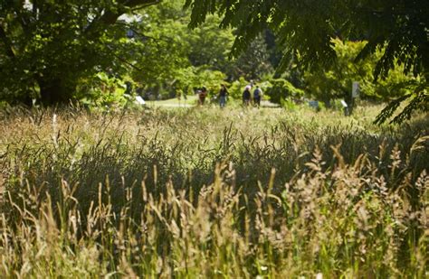 Lwl R Ckschau G Rten Und Parks In Westfalen Lippe