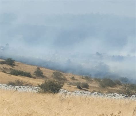 Incendio In Una Pineta Nel Nord Barese Oltre 50 Ettari In Fumo A